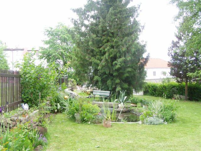 Penzion U Pesku Horní Planá 外观 照片