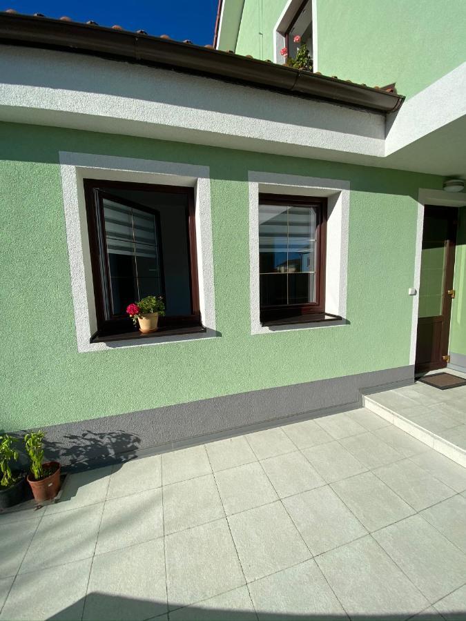 Penzion U Pesku Horní Planá 外观 照片