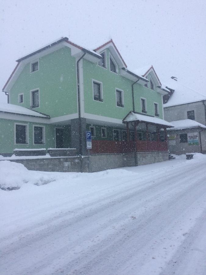 Penzion U Pesku Horní Planá 外观 照片