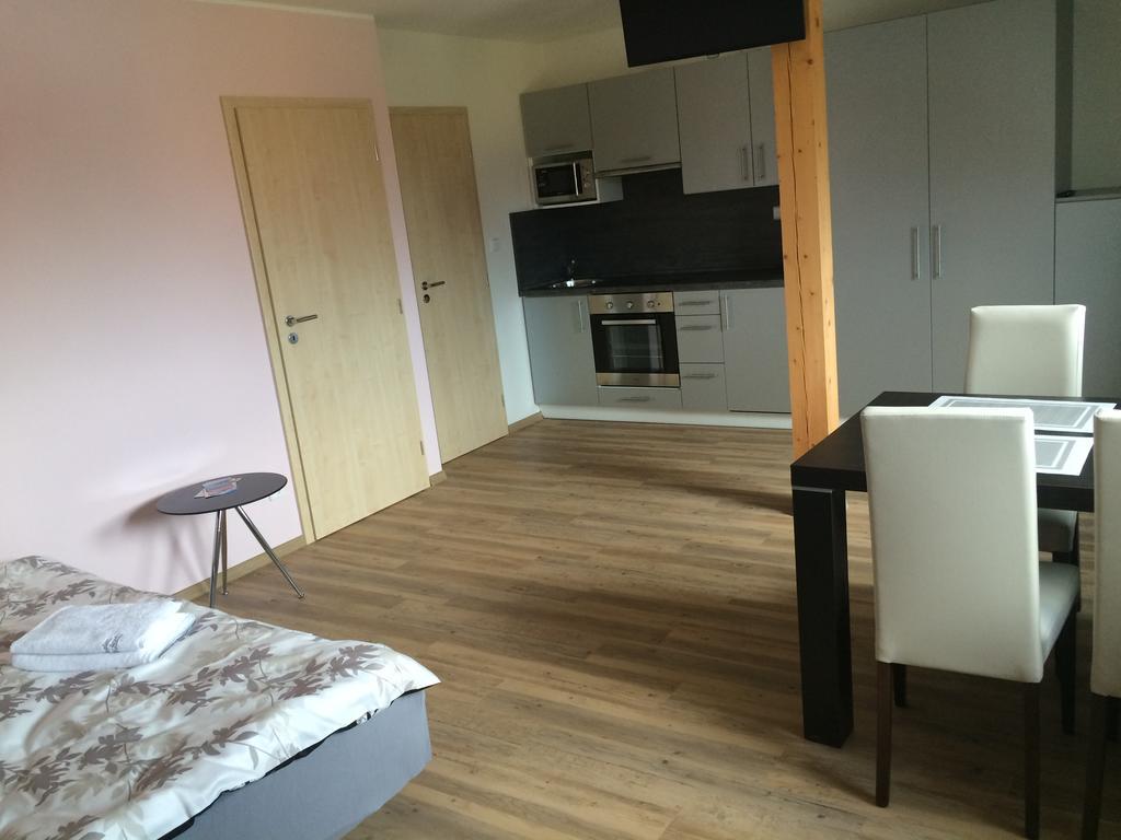 Penzion U Pesku Horní Planá 外观 照片