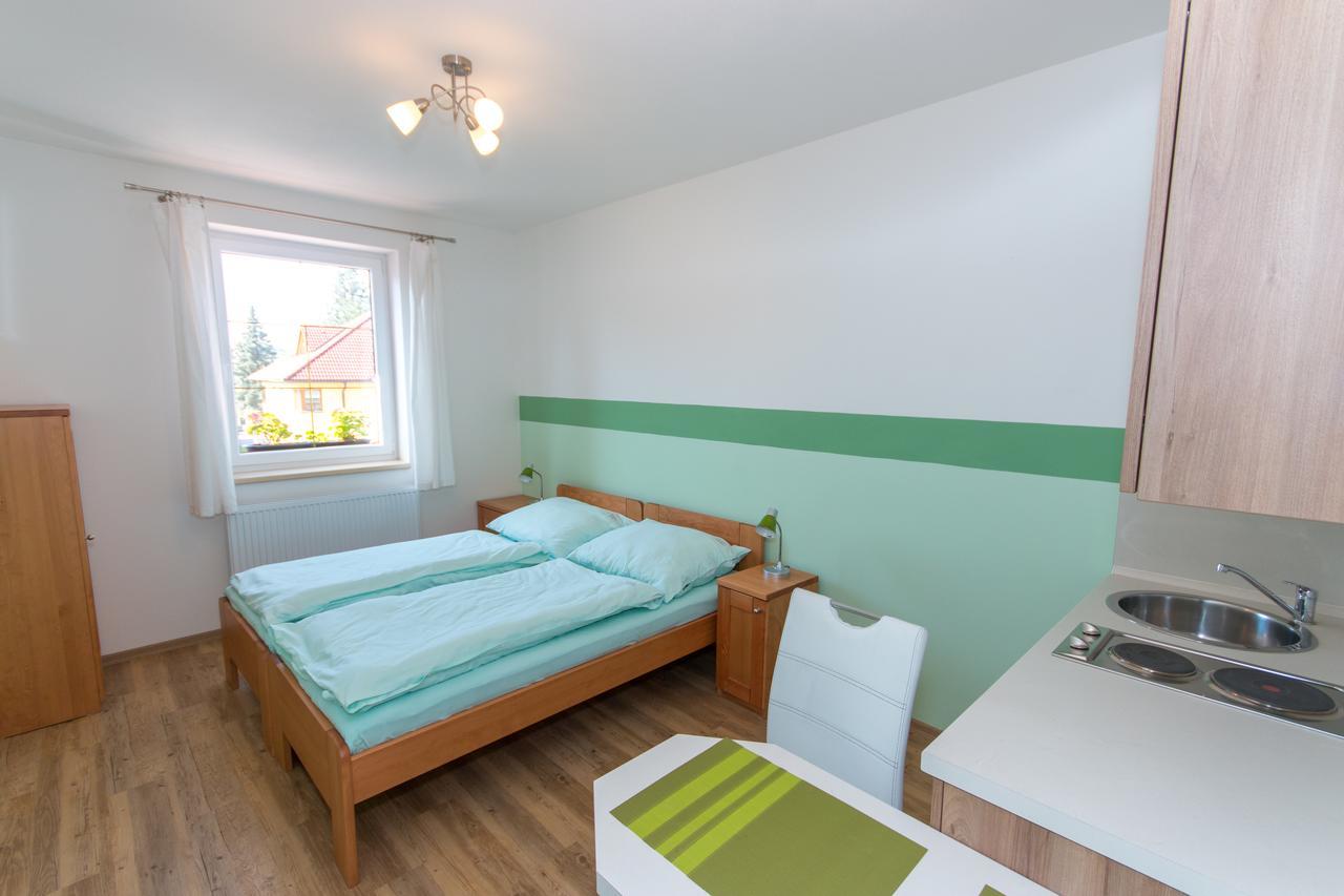 Penzion U Pesku Horní Planá 外观 照片
