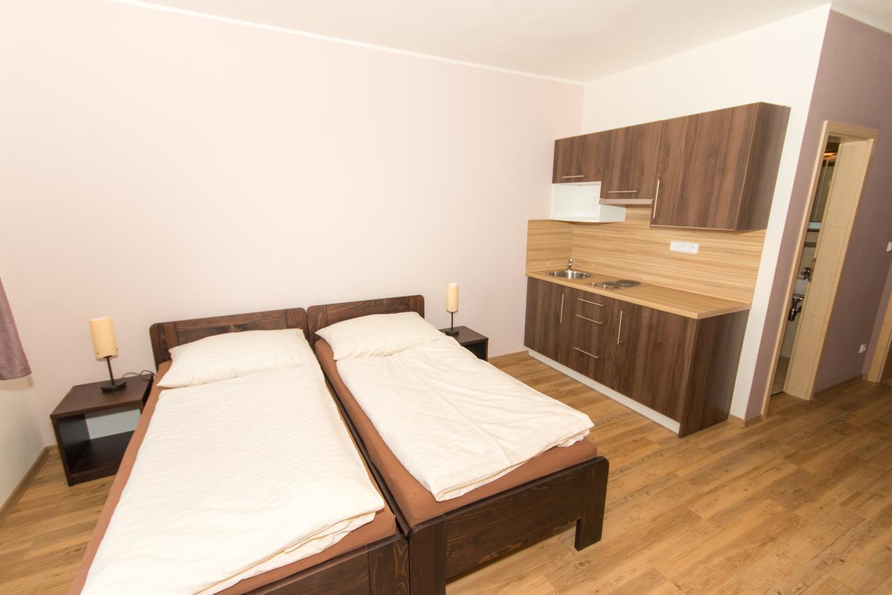 Penzion U Pesku Horní Planá 外观 照片
